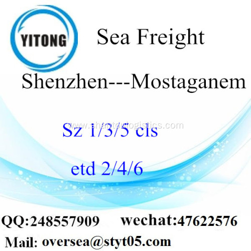 Shenzhen Port LCL Consolidation To Mostaganem